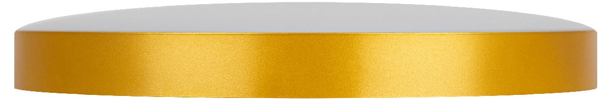 Потолочный светильник Эра Relict 48 Pult SPB-6-60-RC MG Б0059498