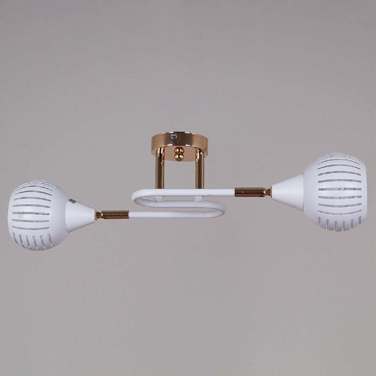 Потолочный светильник Reluce 70059-3.3-02 FG+WH