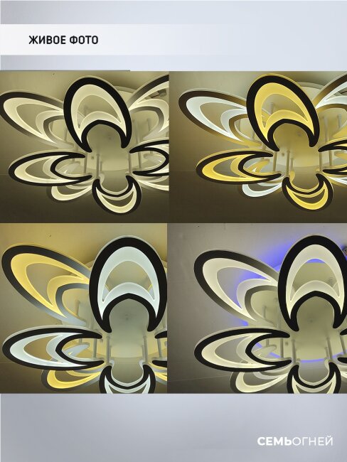 Потолочная люстра Wedo Light Ovaro 75333.01.09.08RGB