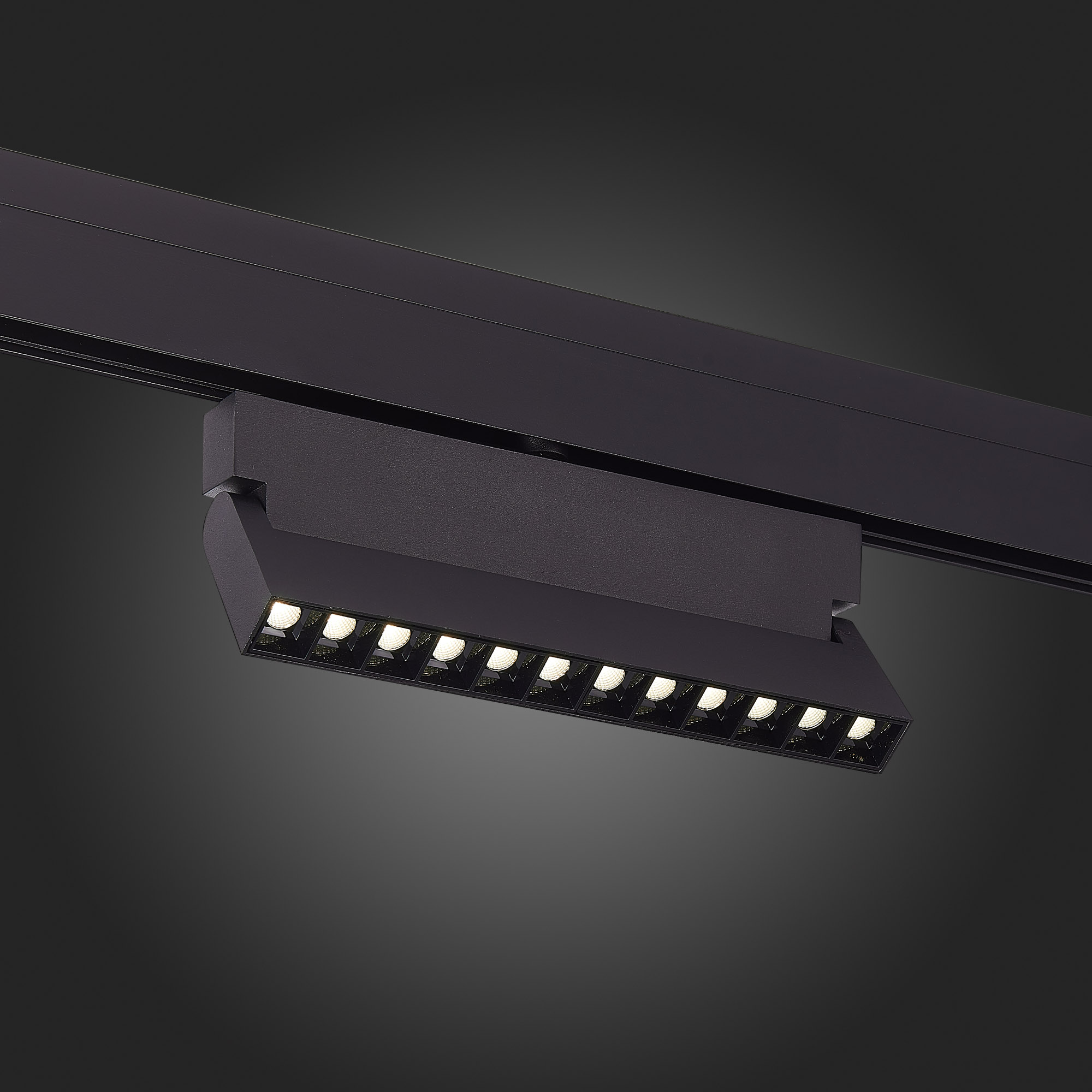 Трековый светильник ST Luce Andre ST362.446.12