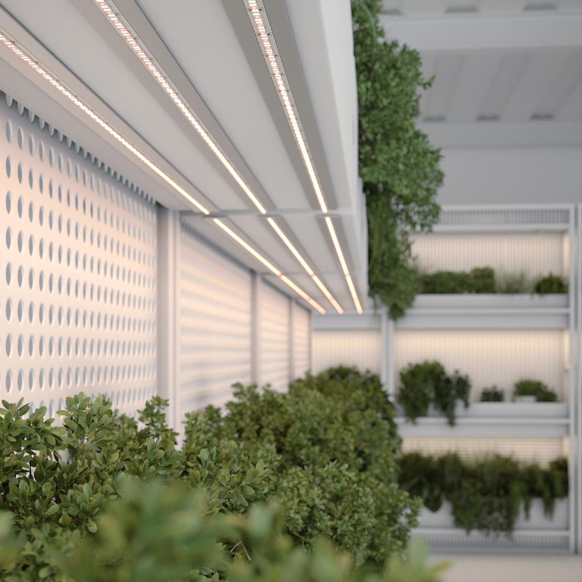 Светодиодная лента Arlight FITOLUX-SE-A144-10mm 24V Day5000-Red (14 W/m, IP65, 2835, 5m) 038171