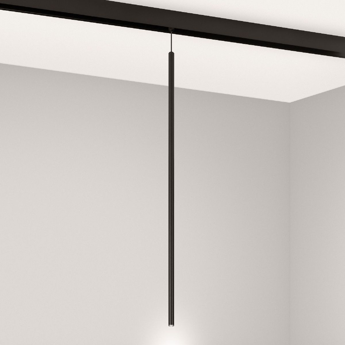 Трековый магнитный светильник Arlight MAG-ORIENT-SPOT-HANG-L600-R12-2W Day4000 (BK, 20 deg, 48V) 044501