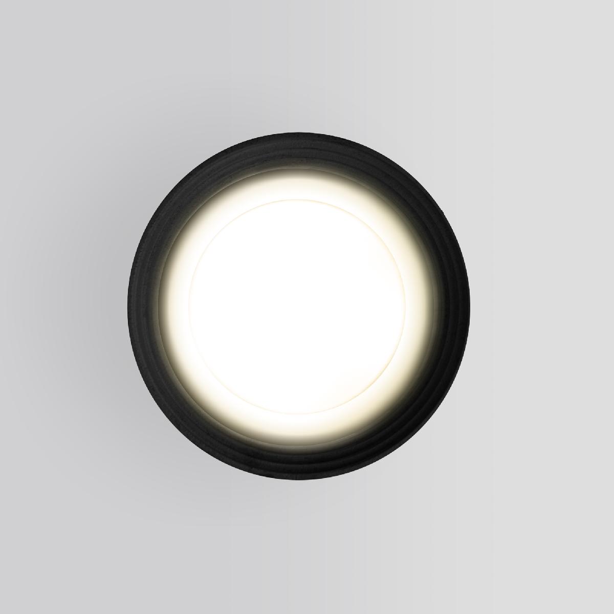 Уличный потолочный светильник Elektrostandard Light 4690389175916