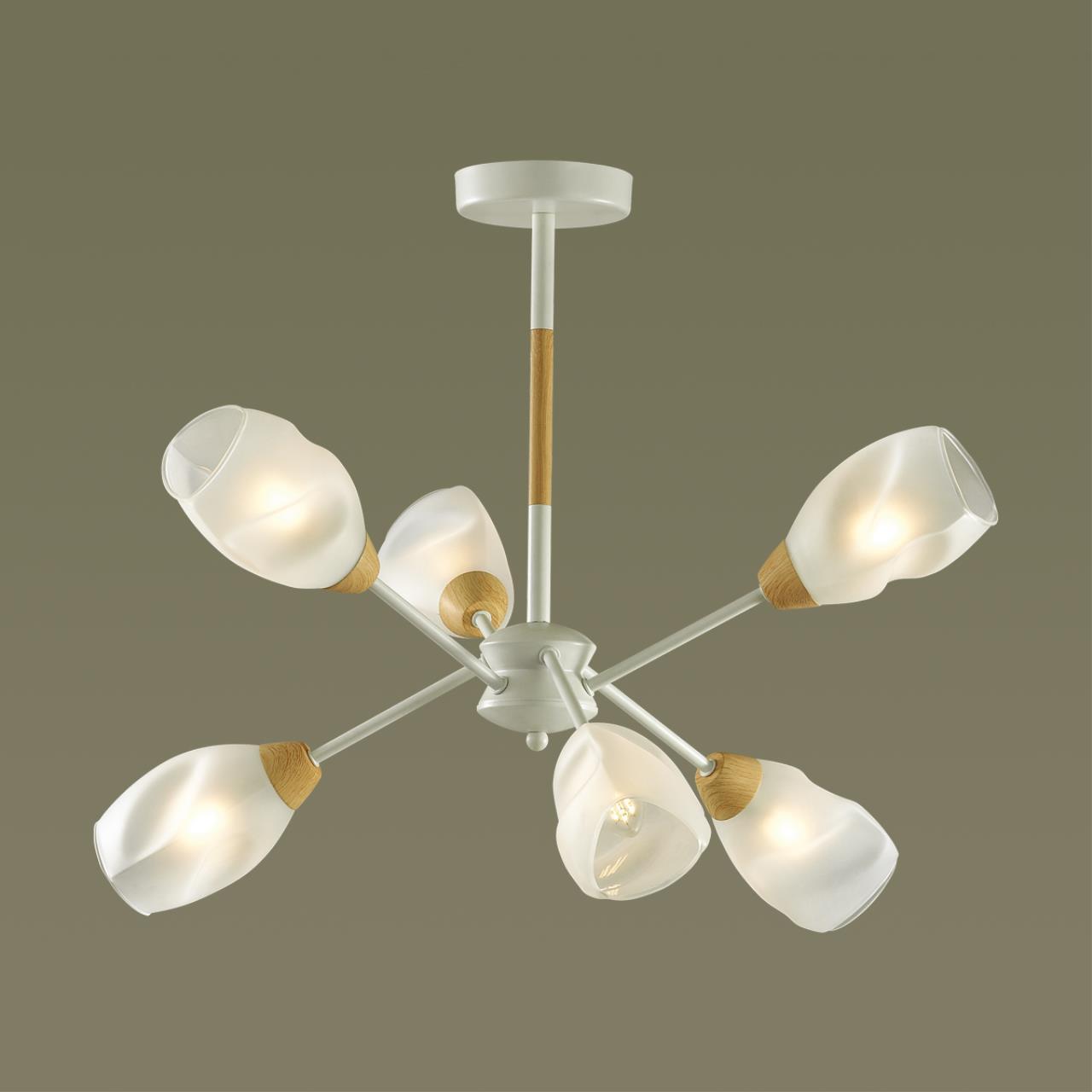 Потолочная люстра Lumion County 5210/6C