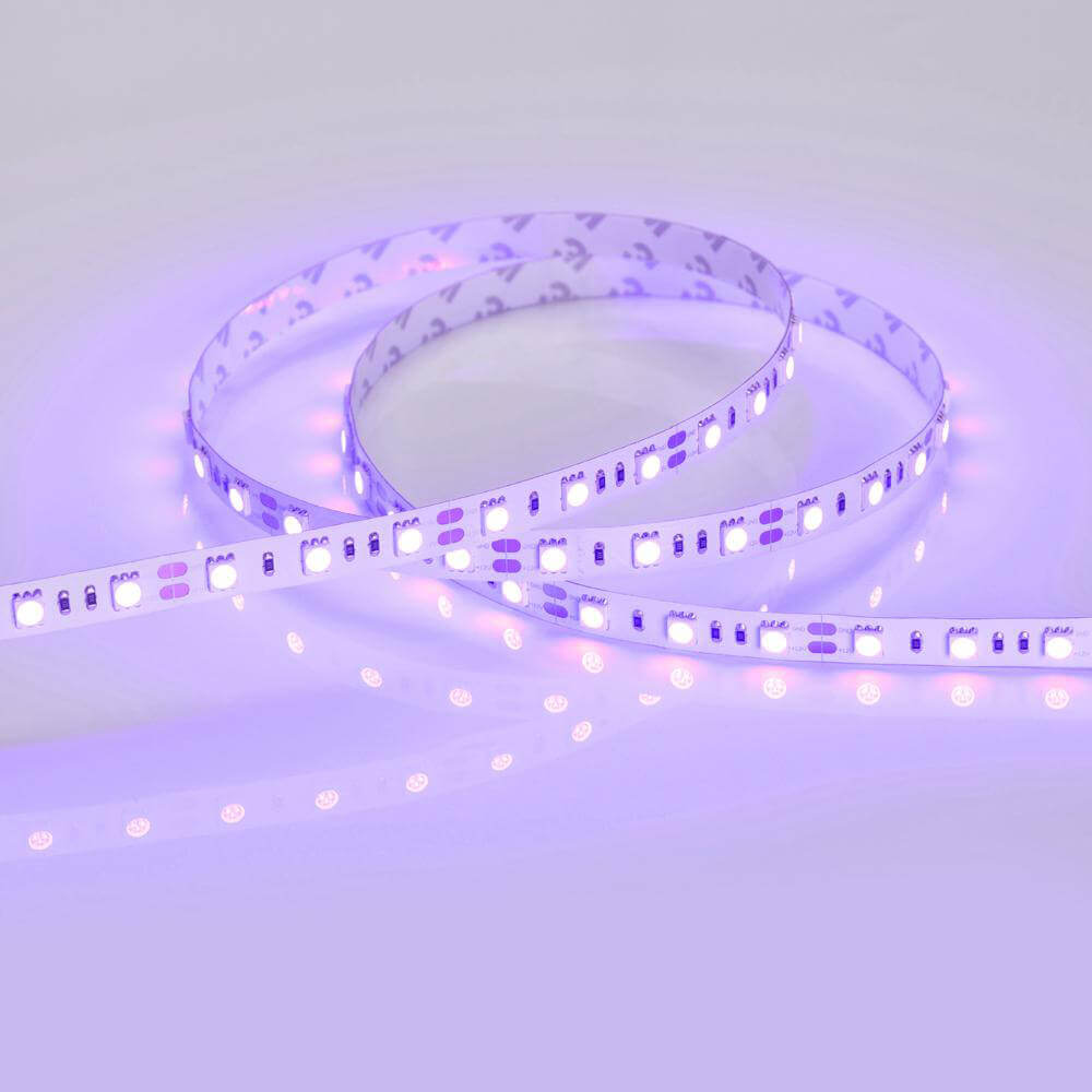 Светодиодная лента Arlight RT 2-5000 12V Blue 2x (5060, 300 LED, LUX) 012336