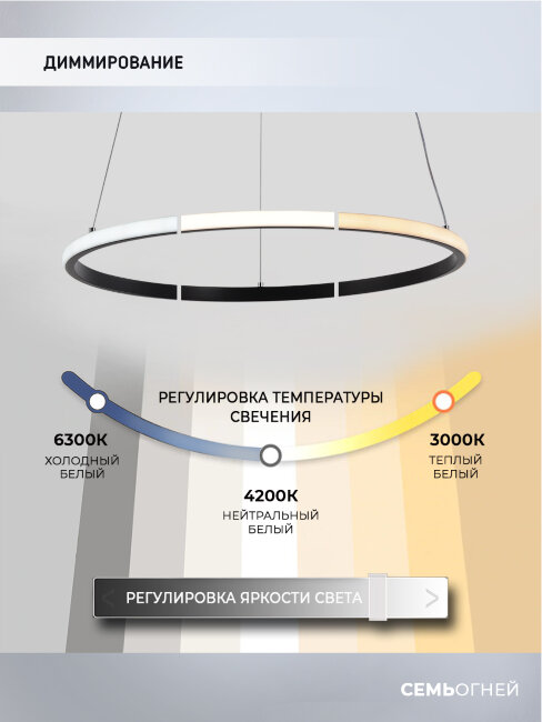 Подвесная люстра Wedo Light Lisel WD6021/1P-BK