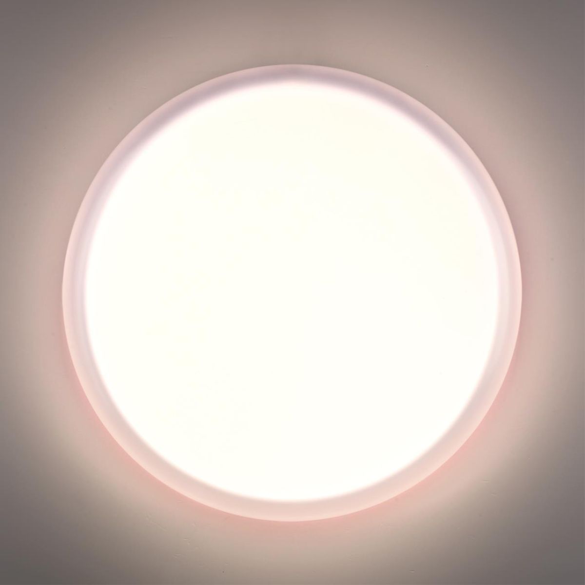 Настенно-потолочный светильник Sonex Pale Jolly 7776/ELN