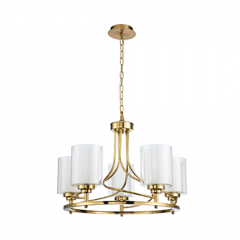 Подвесная люстра Favourite Plexus 2963-5P