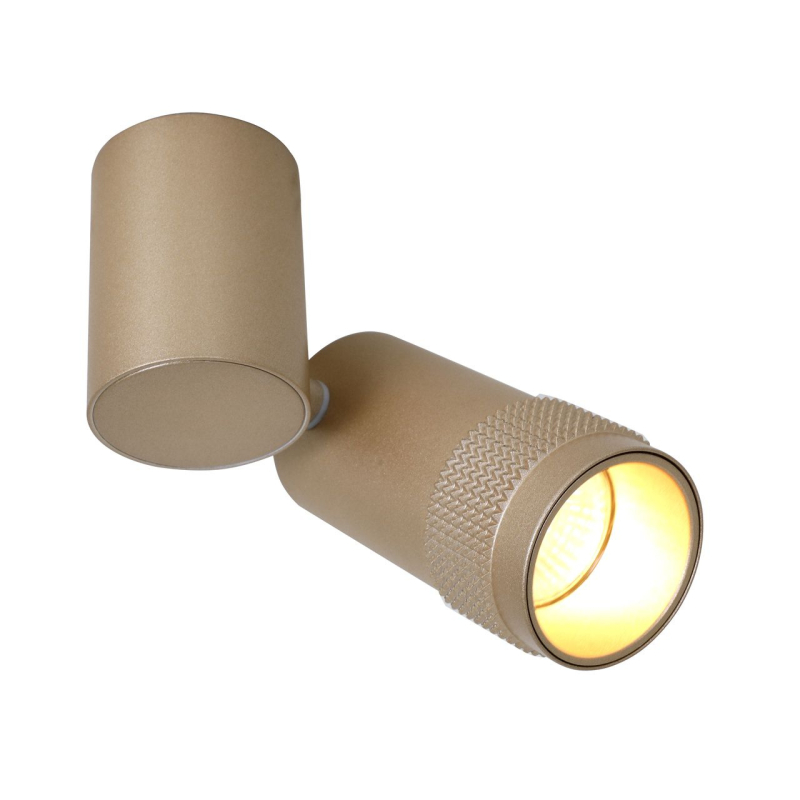 Спот Favourite Kinescope 2455-1U