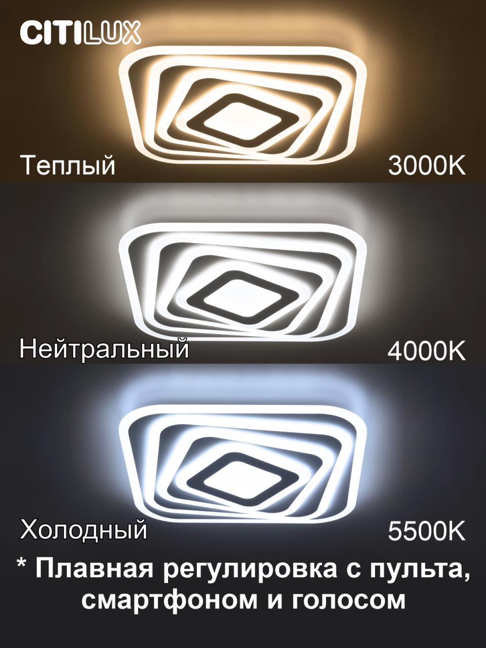 Потолочный светильник Citilux Триест CL737A44E