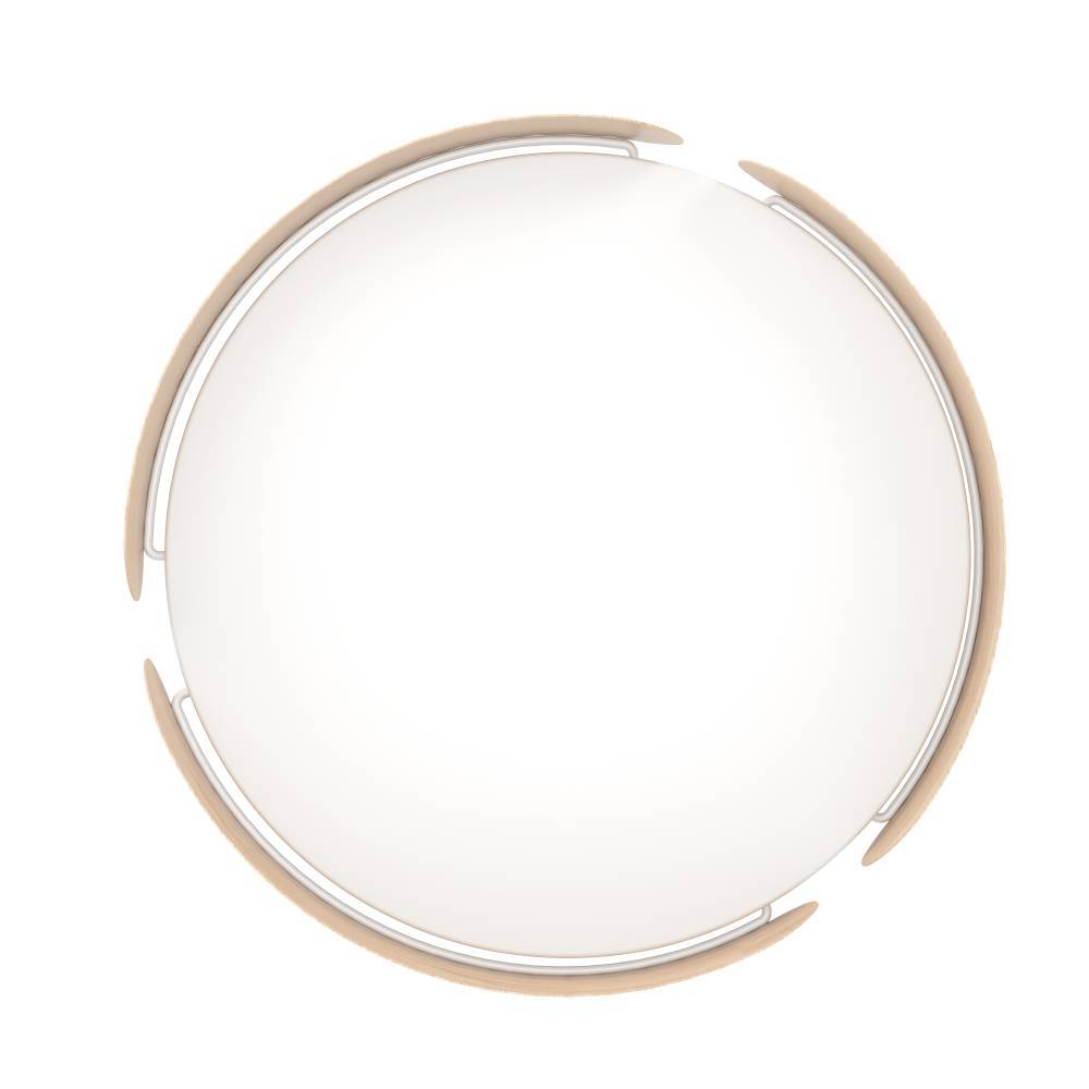 Настенно-потолочный Eglo Valcasotto 901827