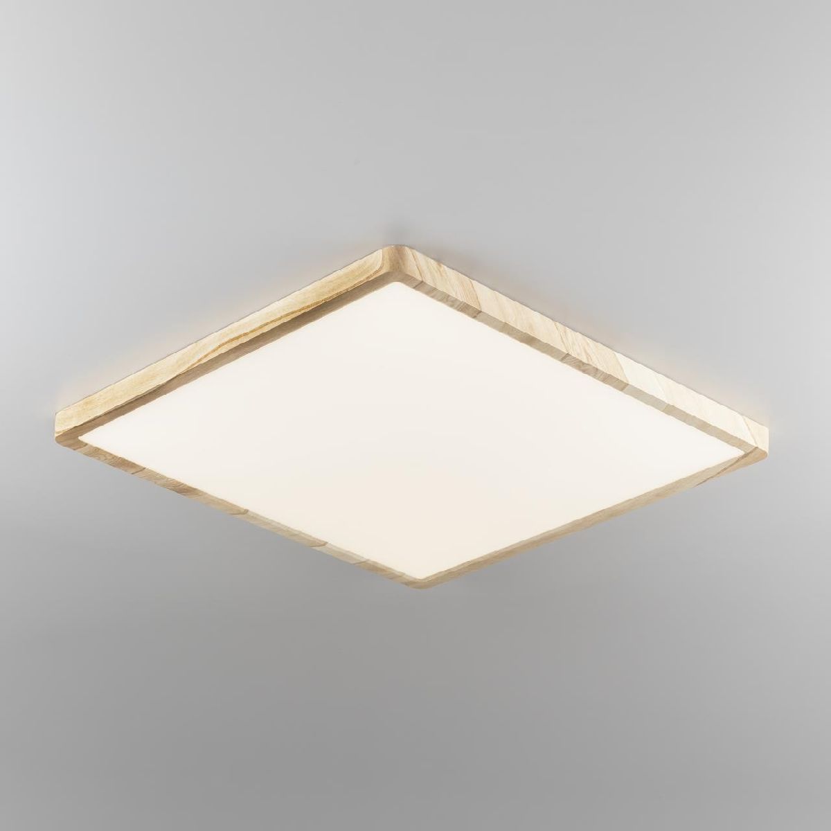 Потолочный светильник Citilux Бейсик CL738K502V