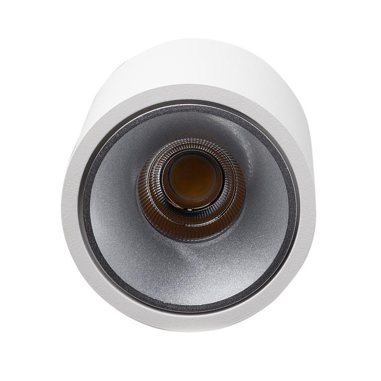 Влагозащищенный светильник LeDron RINBOK White/Grey 00000017858