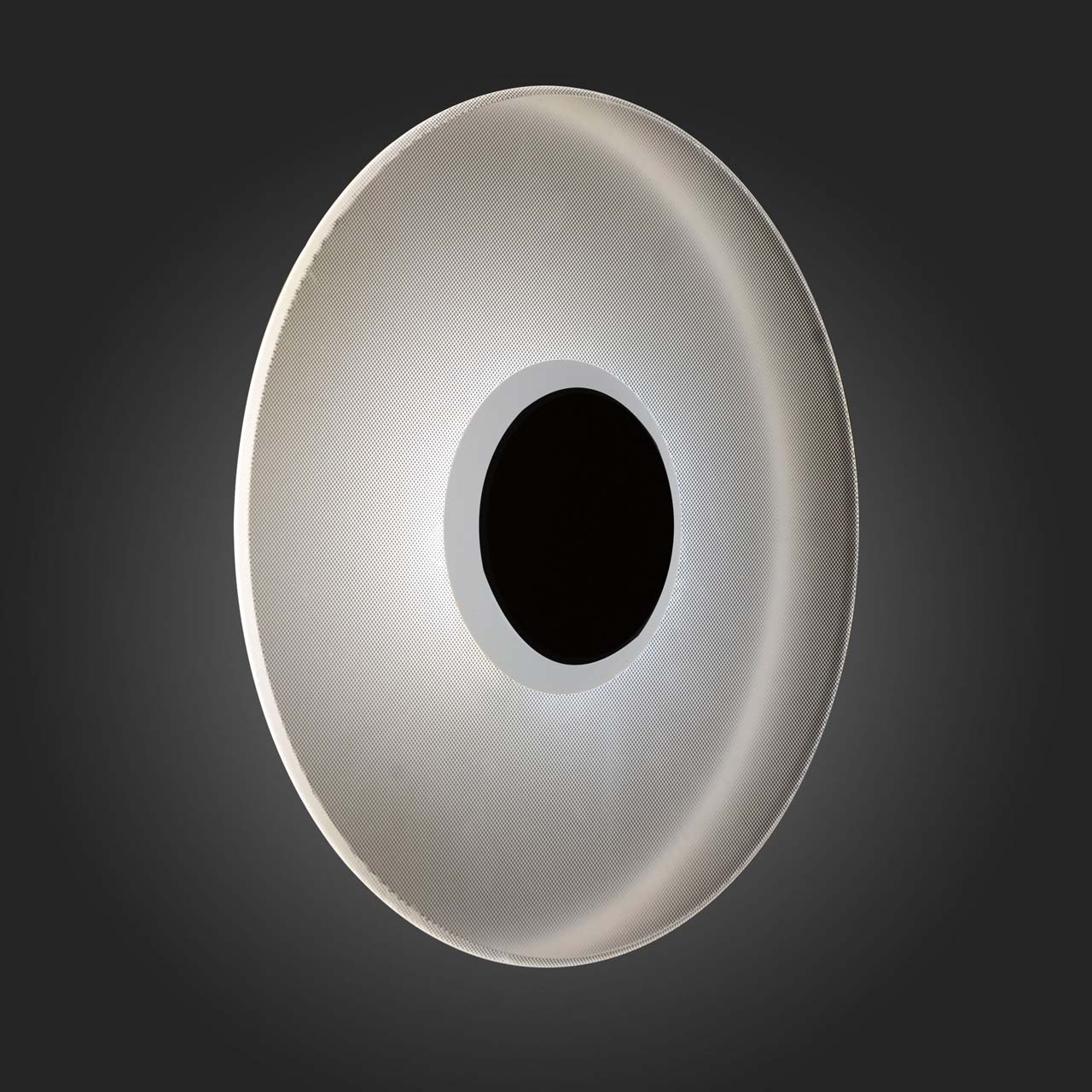 Уличный настенный светодиодный светильник ST Luce SL925.401.01