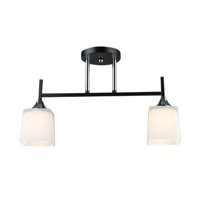 Потолочный светильник Wedo Light Semel WD3640/2C-BK-CR-WT