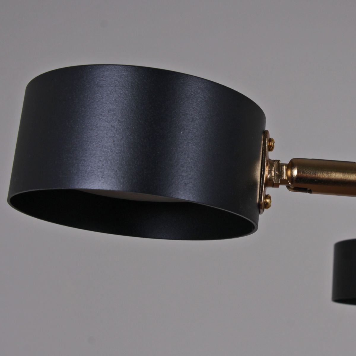 Люстра на штанге Reluce 06660-0.3-06 BK+COP GX53