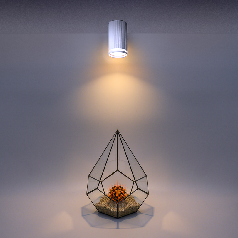 Накладной светильник Wolta Corallo WSL-GU10/03W