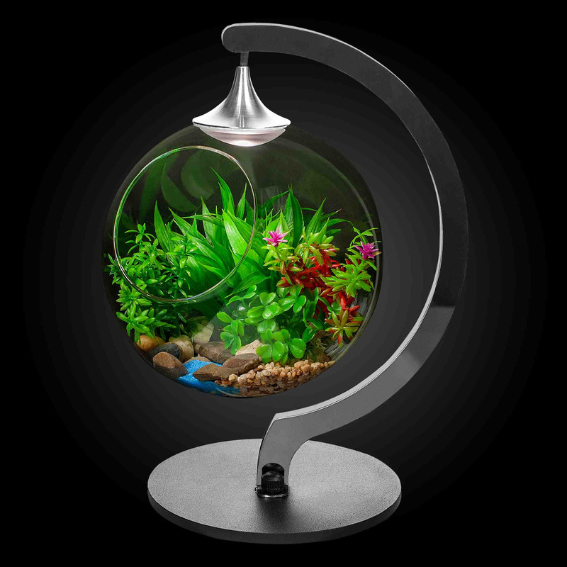 Настольная лампа Apeyron FT-29