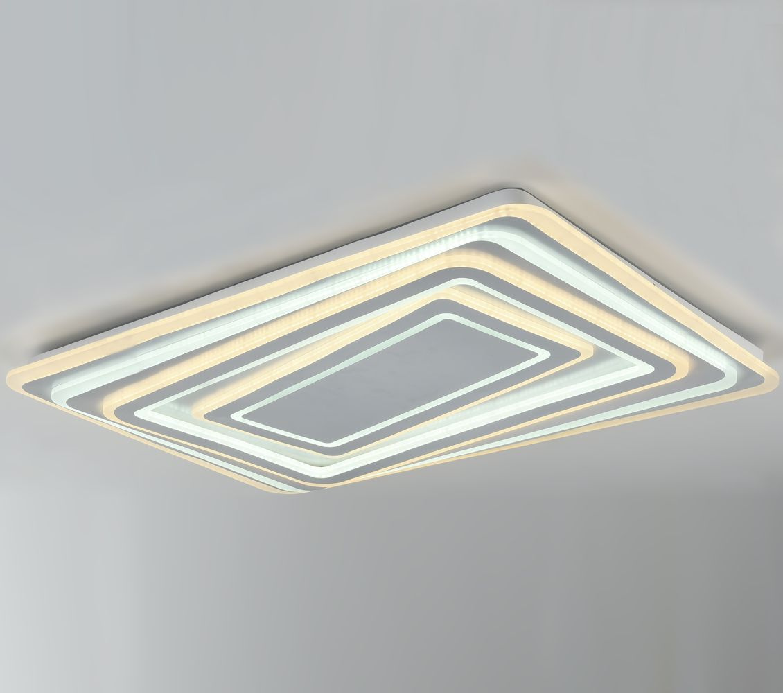 Потолочный светодиодный светильник F-Promo Ledolution 2276-10C