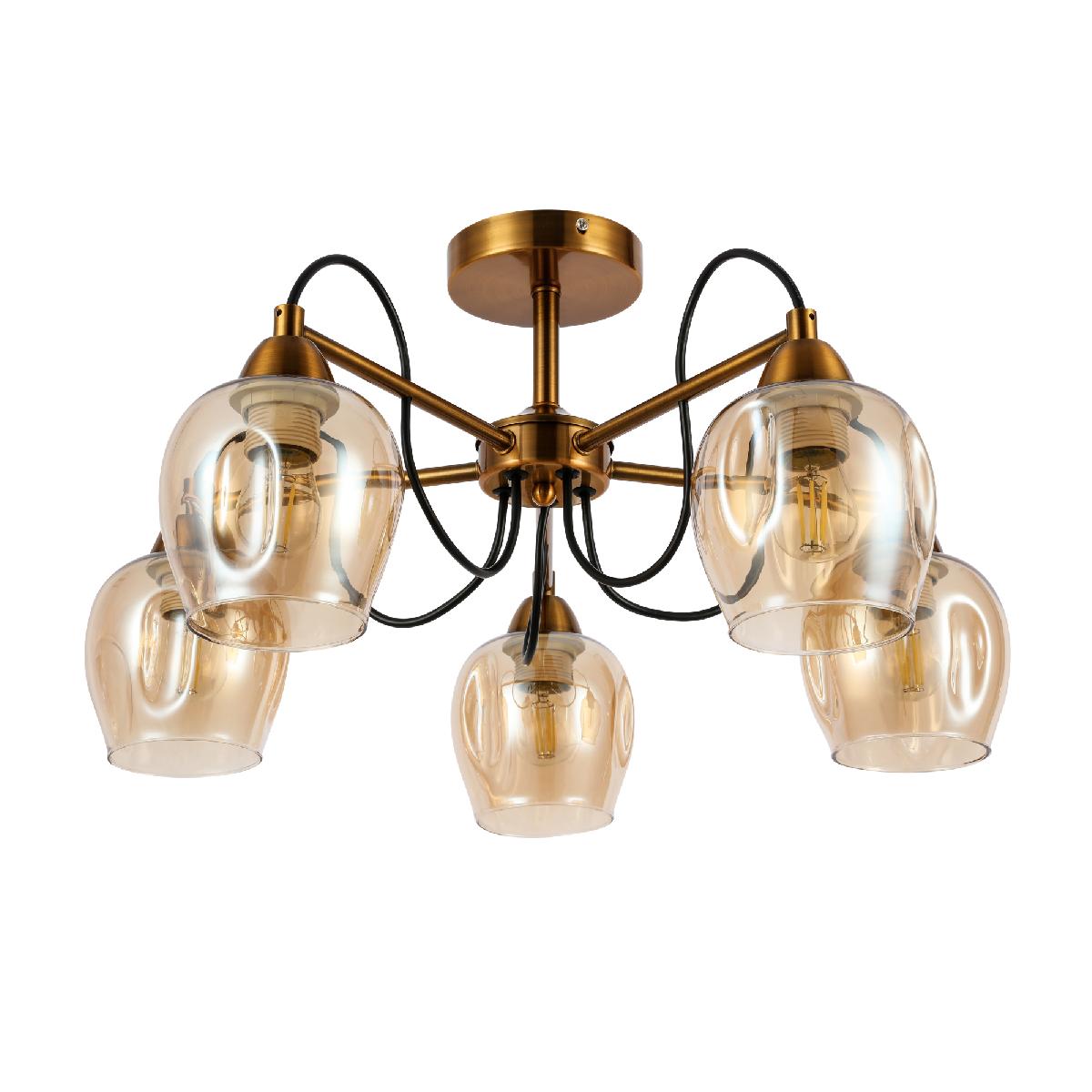 Потолочный светильник EVOLUCE ACRO SLE110002-05