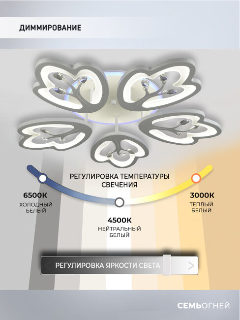 Потолочная люстра Wedo Light Dominica 75306.01.09.05RGB