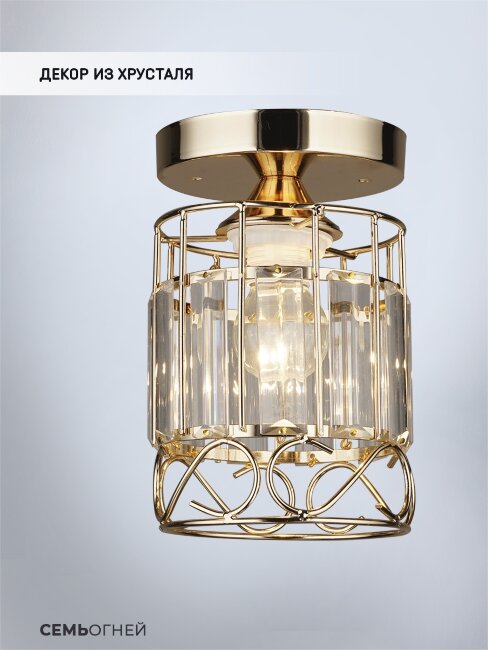 Потолочный светильник Wedo Light Beteni WD3567/1C-FGD-CL