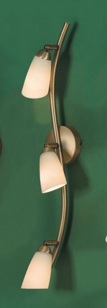 Спот Citilux Белла CL501533