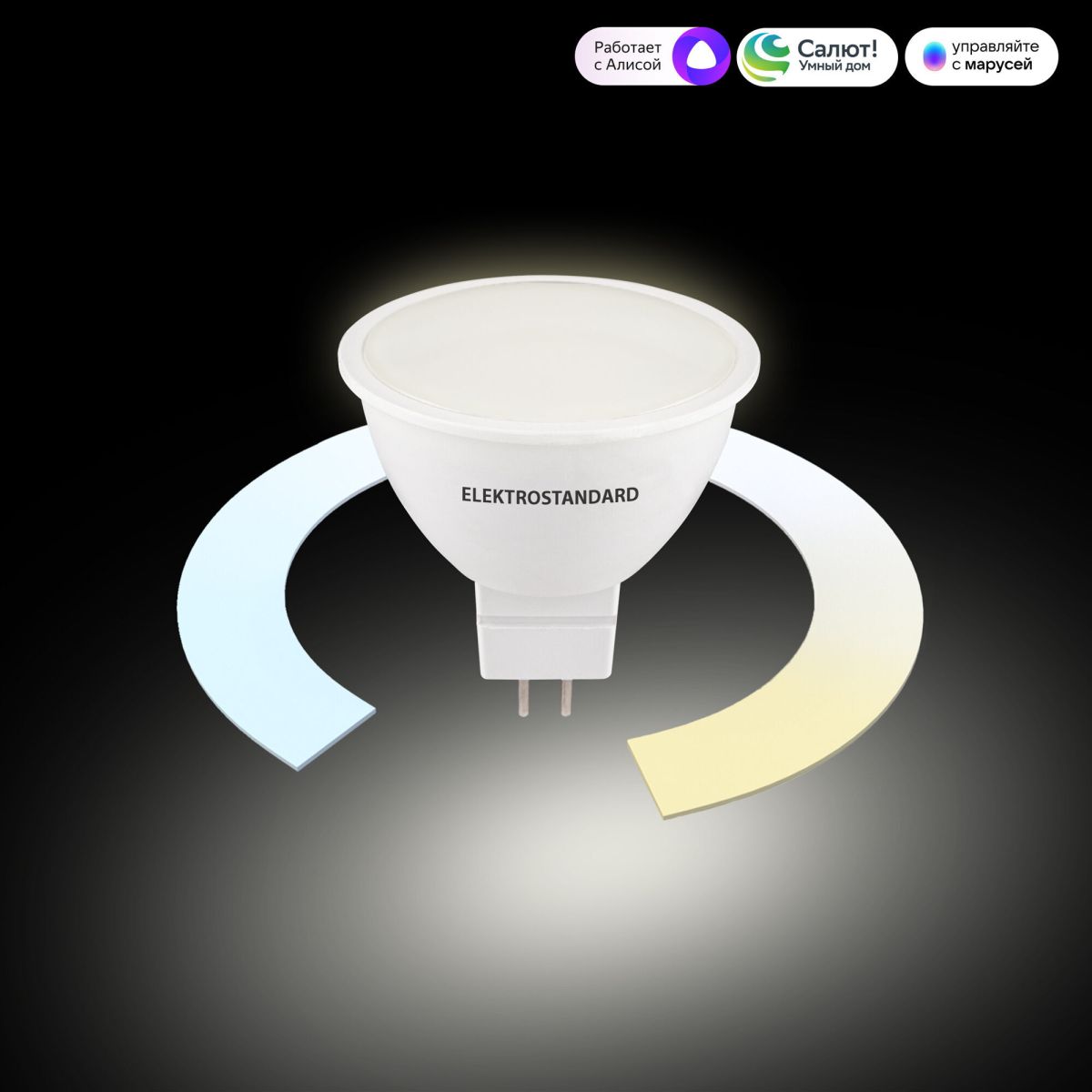 Умная светодиодная лампа Elektrostandard BLG5318 4690389217166 a071007