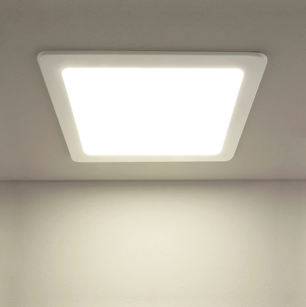 Встраиваемый светодиодный светильник Elektrostandard DLS003 24W 4200K 4690389081903