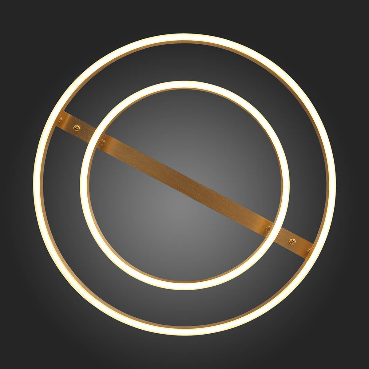 Потолочная светодиодная люстра ST Luce Onze SL944.202.02