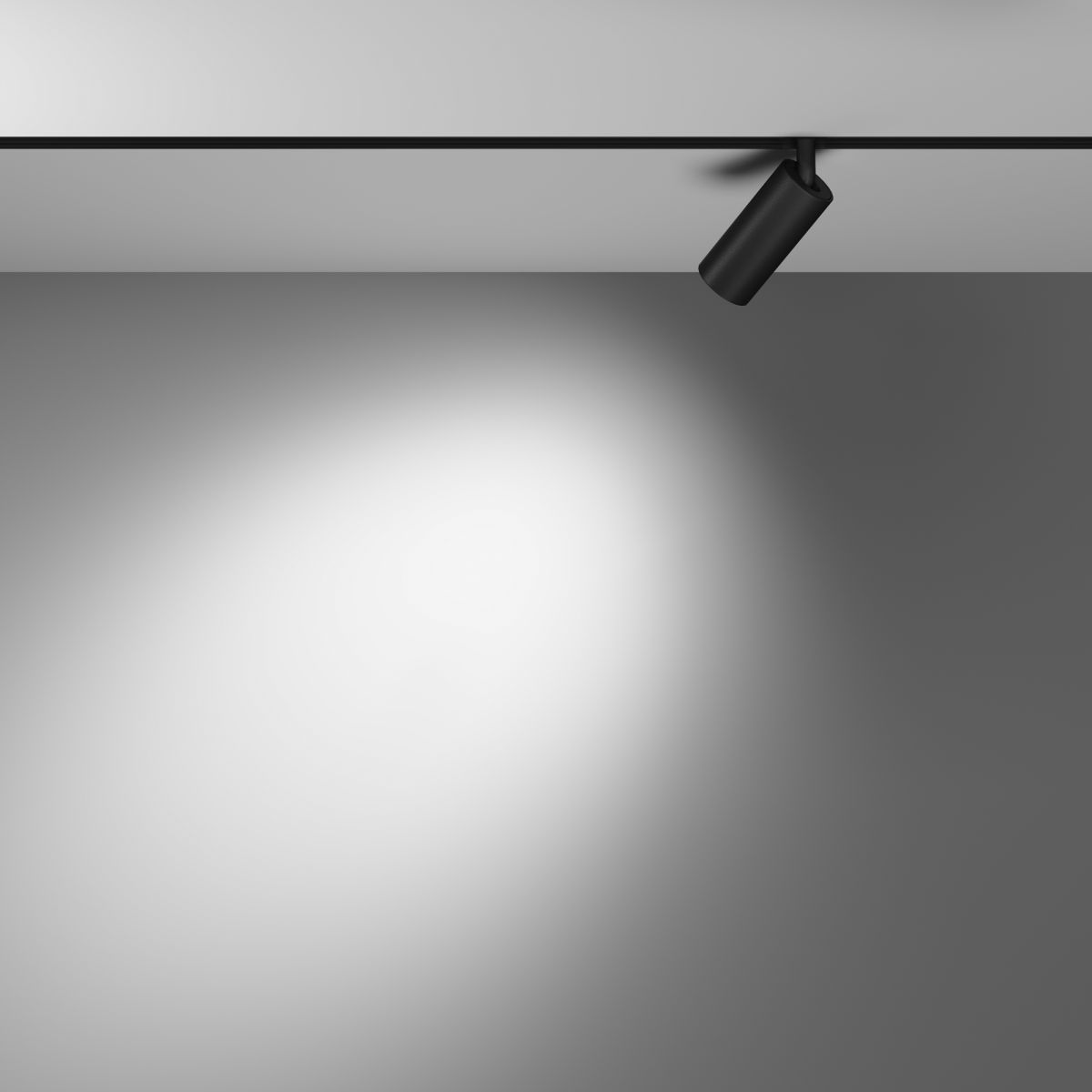 Трековый магнитный светильник Maytoni Focus LED TR032-4-5WTW-M-DSZ-B