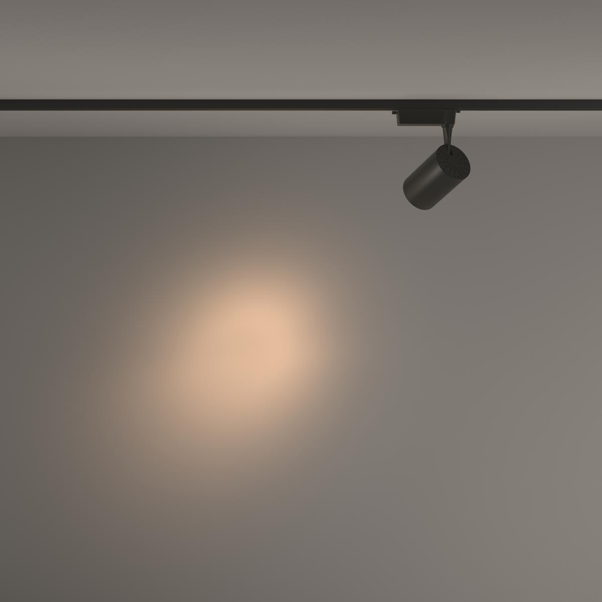 Трековый светильник Maytoni Technical Vuoro TR003-1-26W3K-S-B