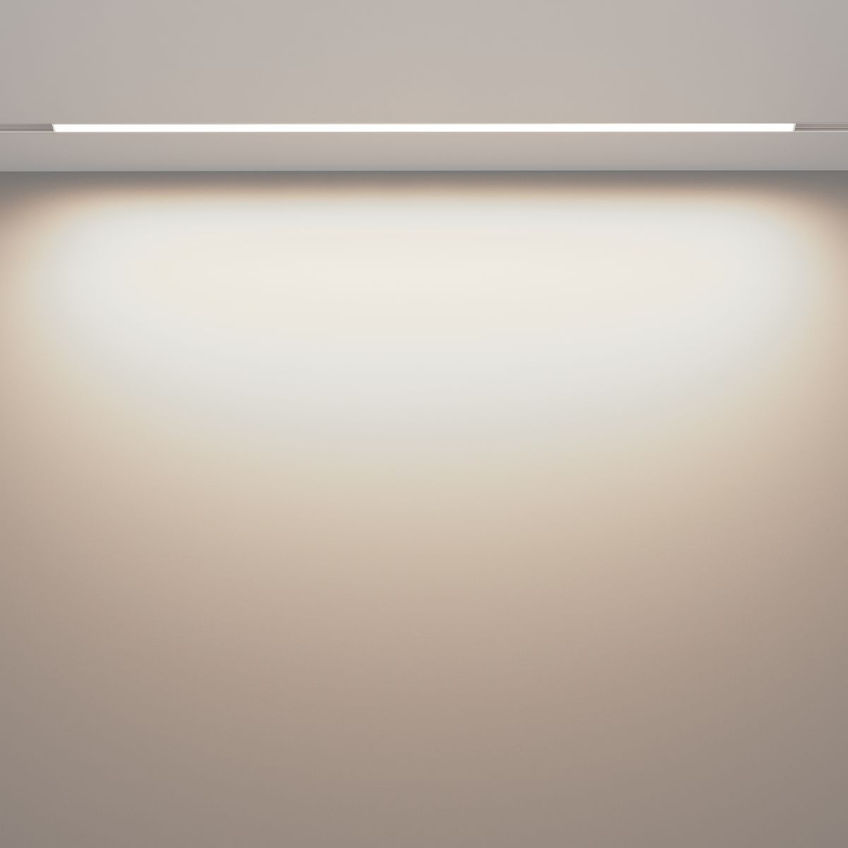 Трековый магнитный светильник Maytoni Basis TR030-2-30W4K-W