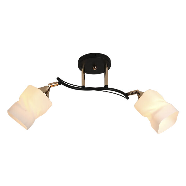 Потолочная люстра Seven Fires Kerstin SF3354/2C-BK-FGD-WT