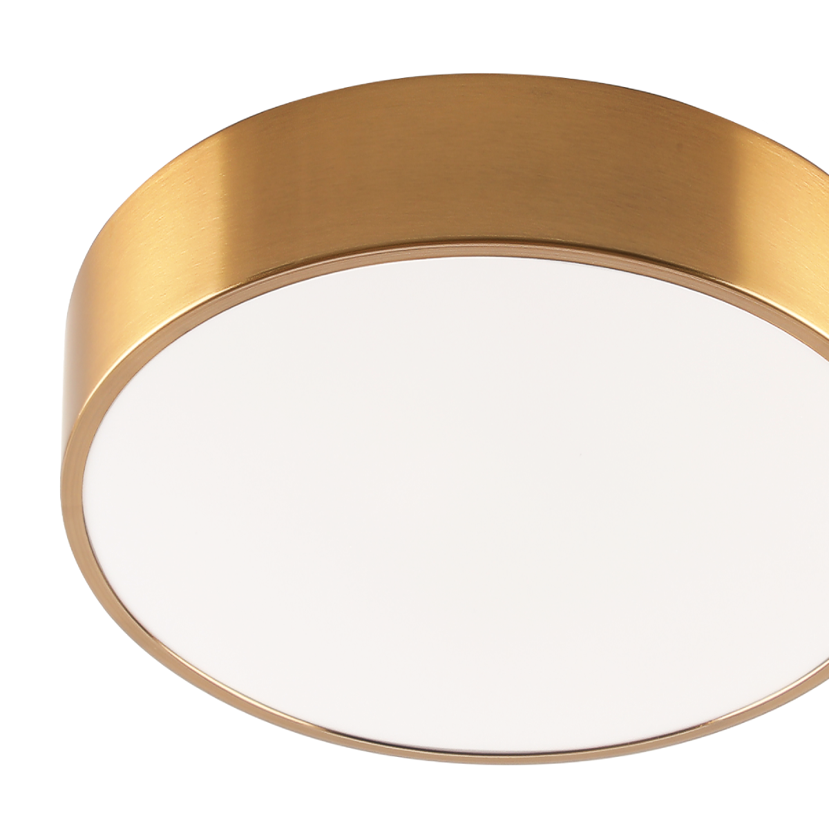 Потолочный светильник Zortes Tortty ZRS.02566.36