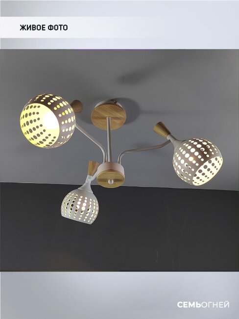 Люстра на штанге Wedo Light Florinda 66167.01.09.03