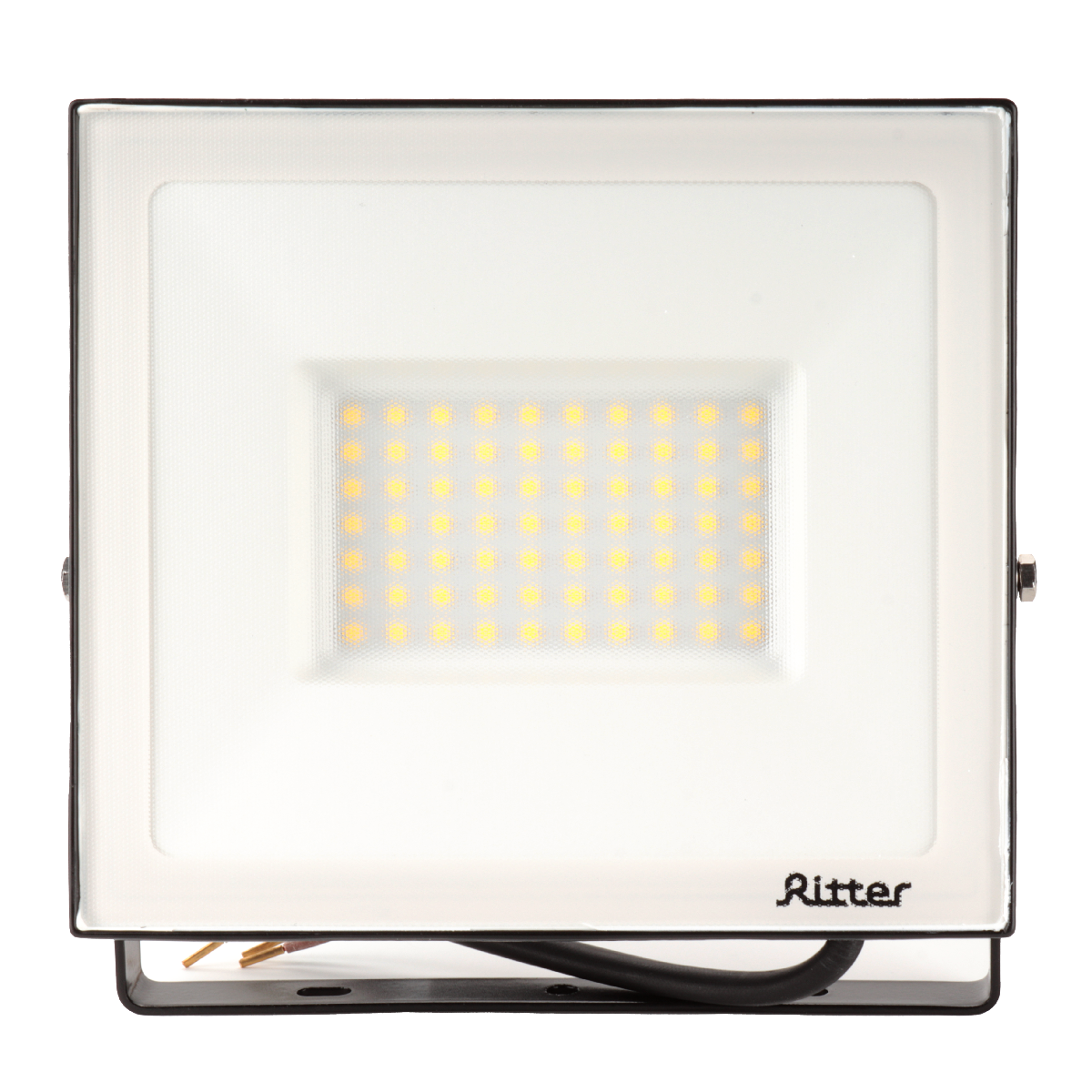 Прожектор Ritter Profi 53418 5