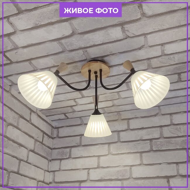 Потолочная люстра Wedo Light Vestmar 66657.01.14.03