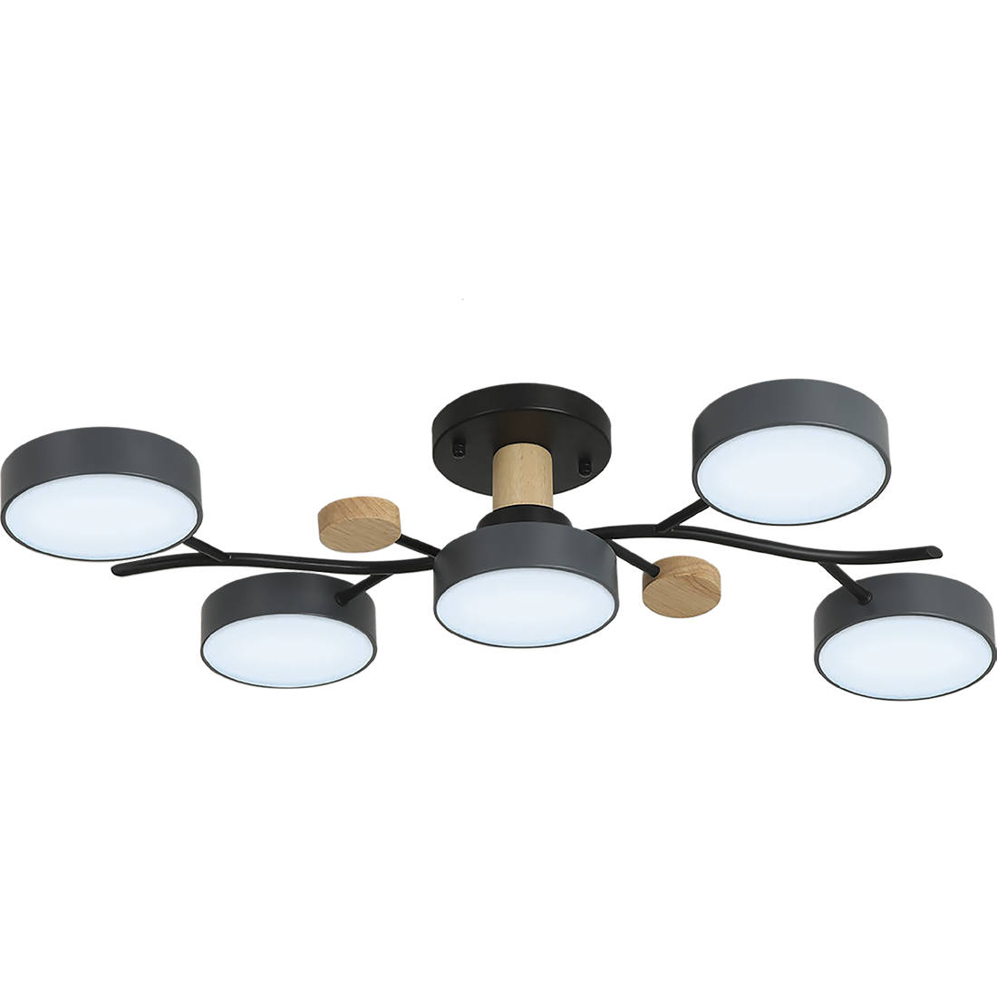 Потолочная люстра Ritter Scandia 52080 1