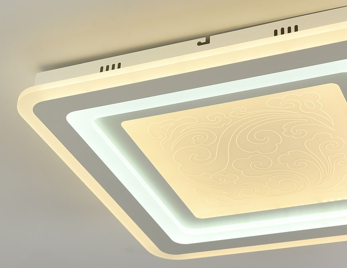 Потолочный светодиодный светильник F-Promo Ledolution 2282-5C