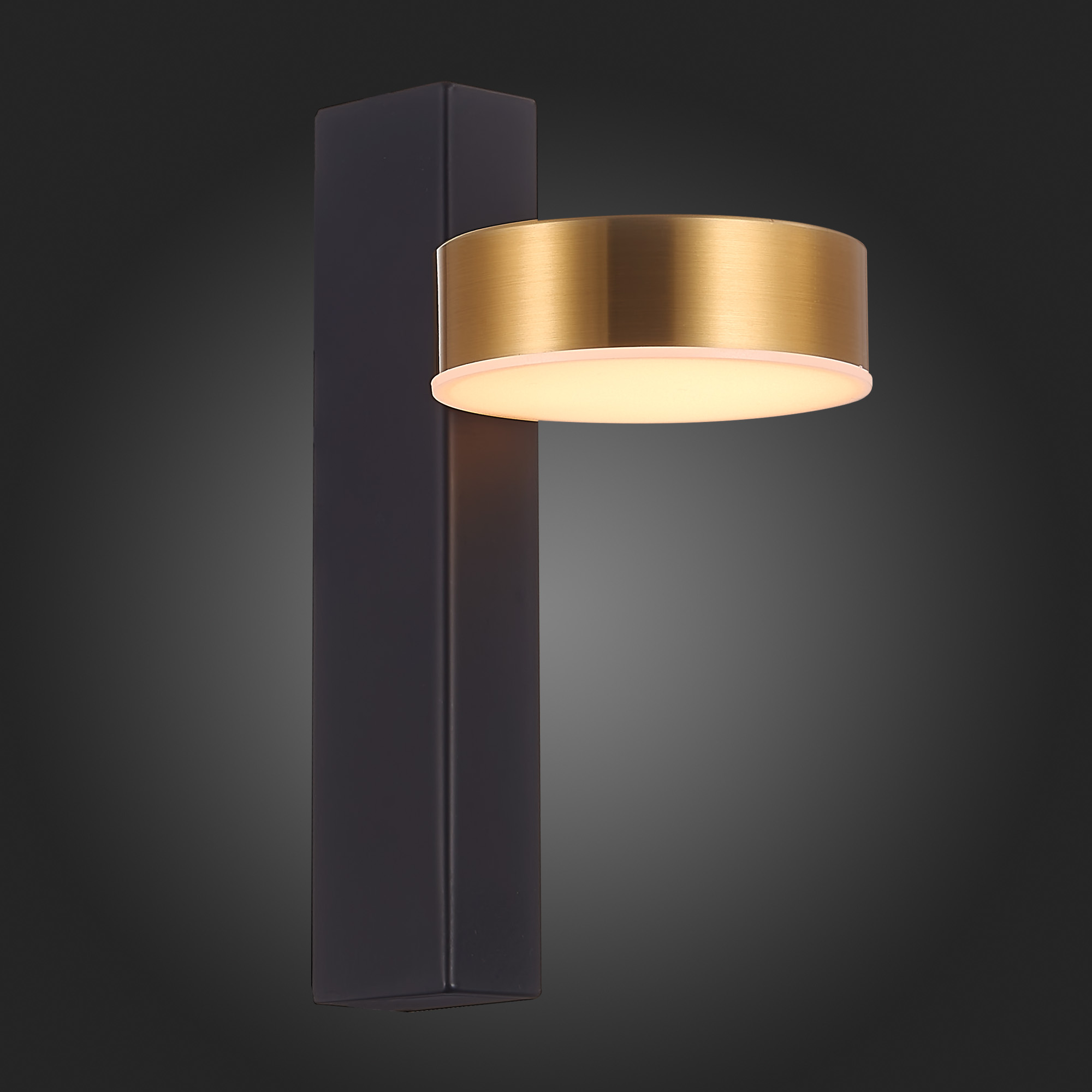 Латунное бра ST Luce Pances SL6000.301.01