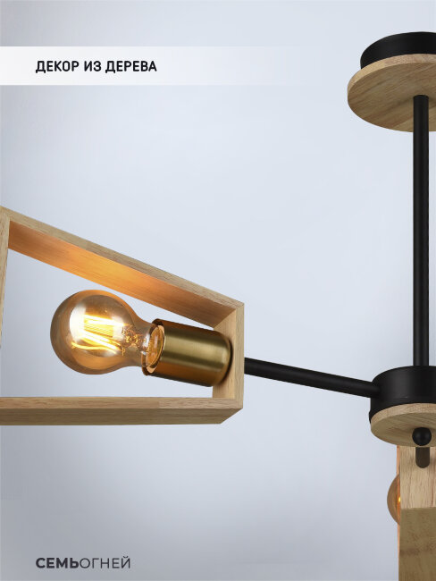 Люстра на штанге Wedo Light Klotild WD3522/3C-BK-AB