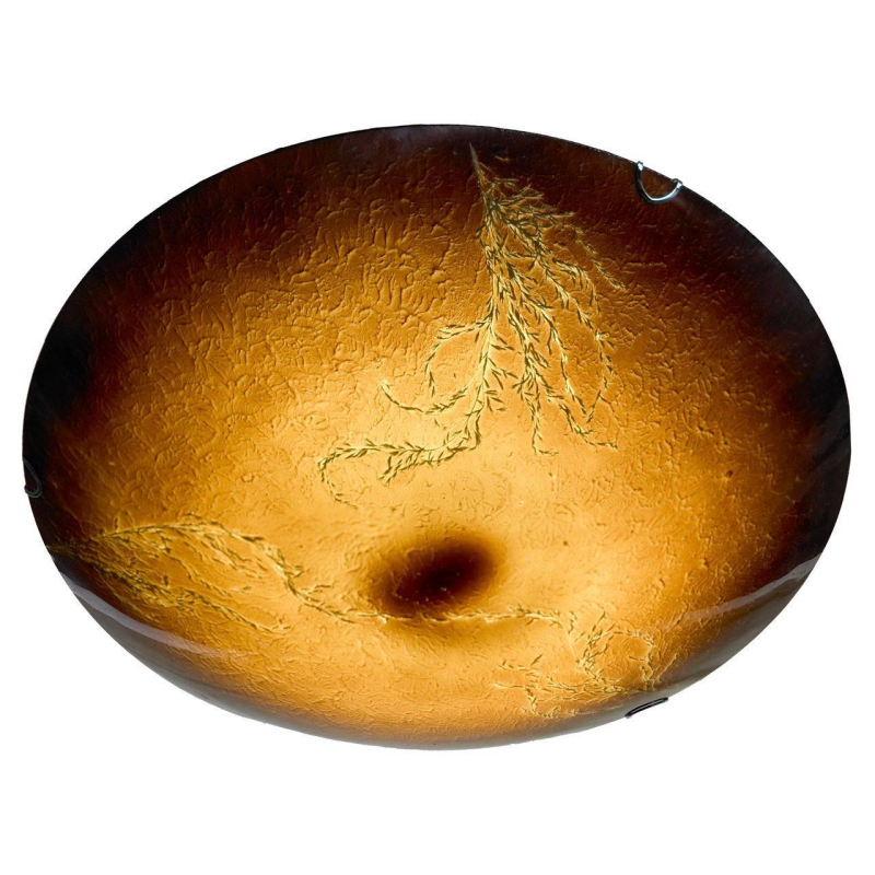 Потолочный светильник Lussole Lgo Lava LSN-0922-01