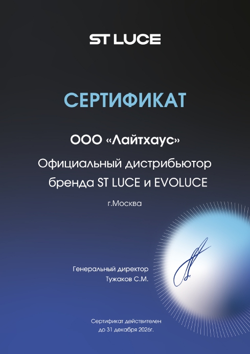 Потолочный светильник Evoluce Monta SLE6003-702-06