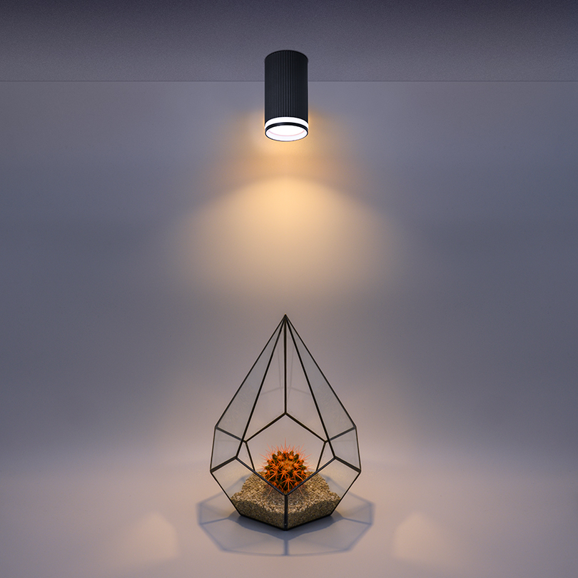 Накладной светильник Wolta Corallo WSL-GU10/03BL