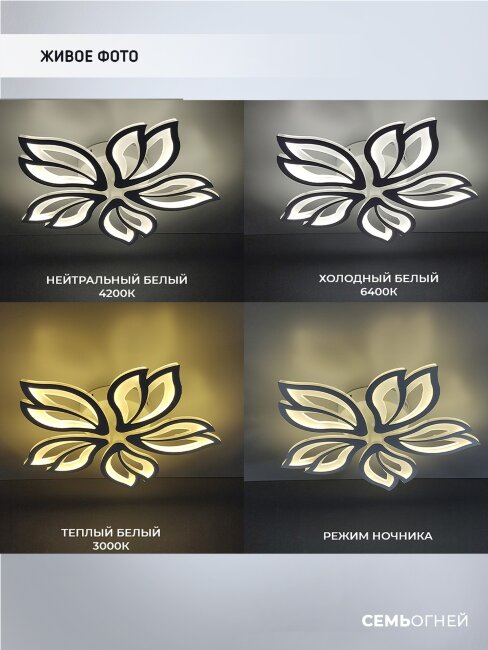 Потолочная люстра Seven Fires Pauli SF7097/5C-WT