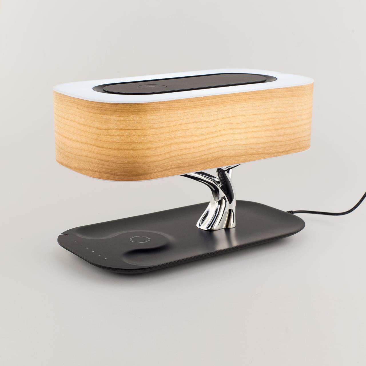 Настольная лампа Citilux Ньютон CL803042 в Москве