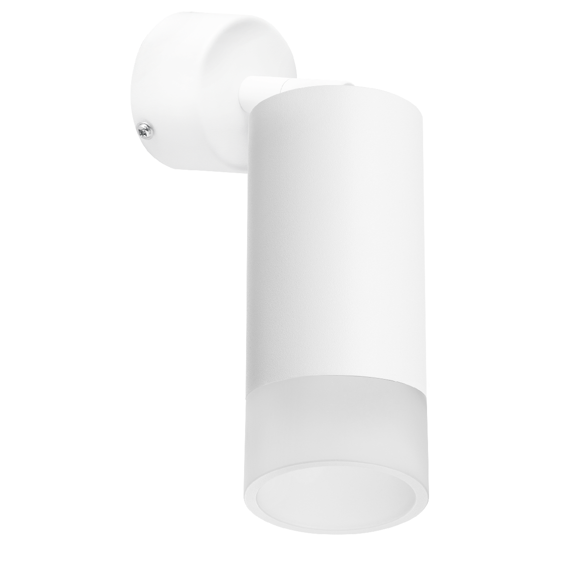 Встраиваемый спот Lightstar Rullo RB43631 (214436+590006+202431)