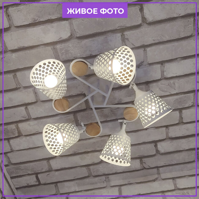 Потолочная люстра Wedo Light Odetta 66583.01.09.05