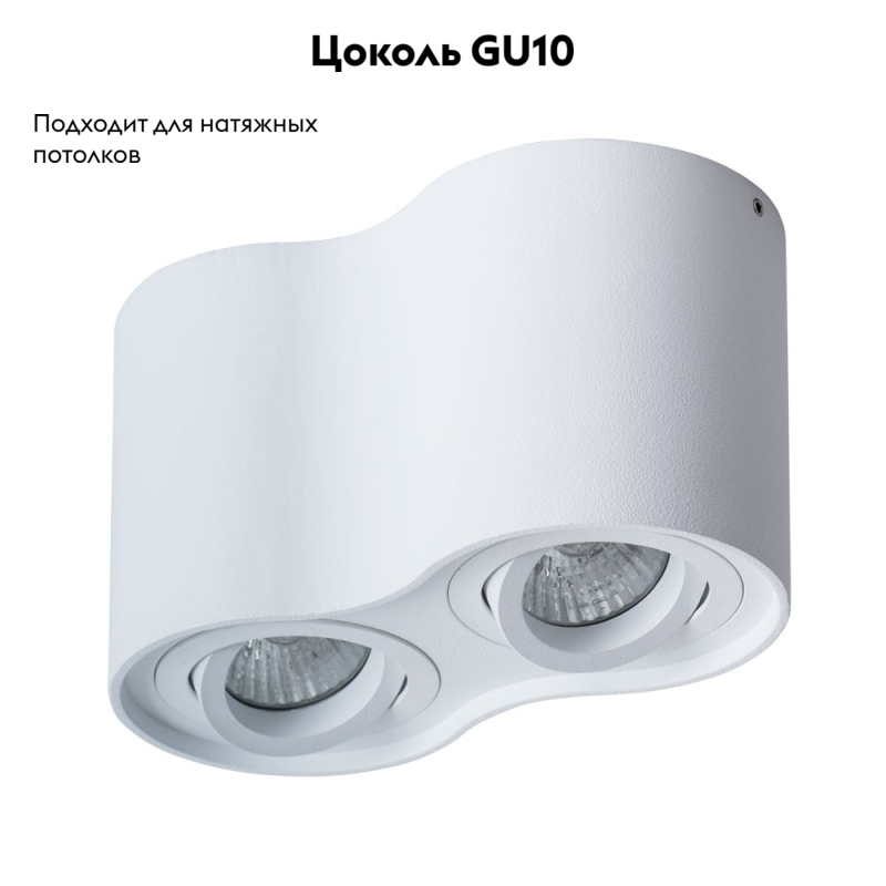 Потолочный светильник Arte Lamp Falcon A5645PL-2WH